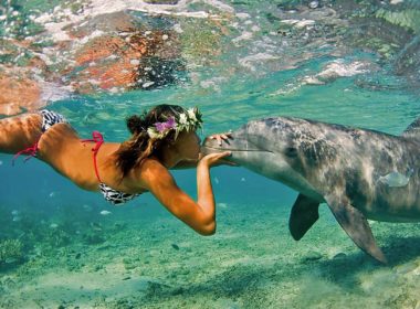 delfin, ładna dziewczyna, jak uzdrowić swoje życie, terapia z delfinami