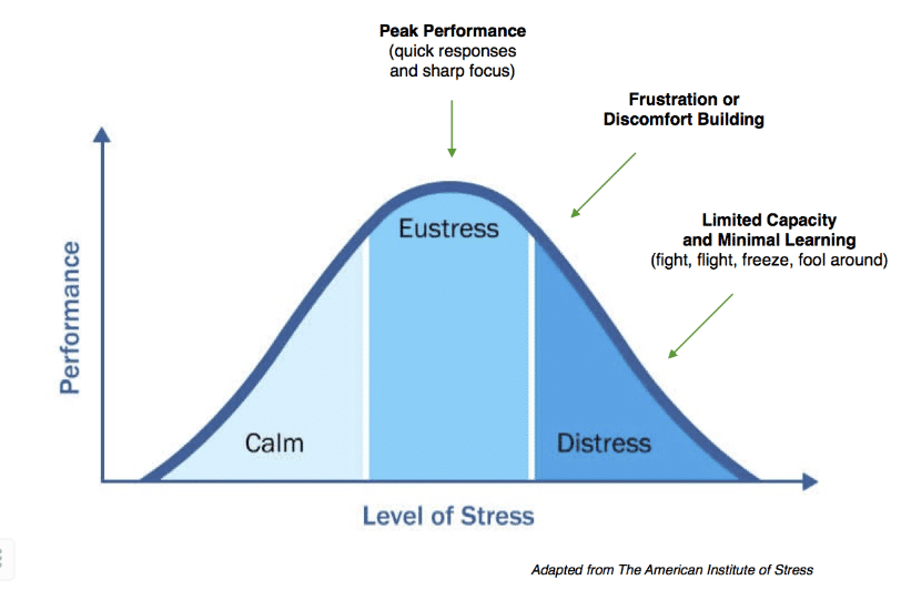 eustres i dystres - rodzaje stresu
